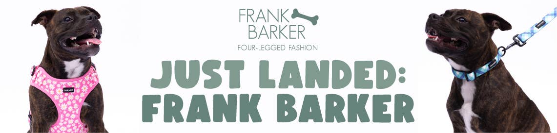 Teal Gingham Collection