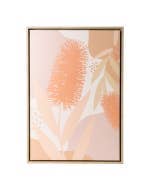 Fleur Bottlebrush Framed Canvas 44x64