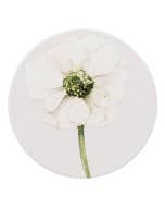 Greenhouse White Flower Ceramic Coaster