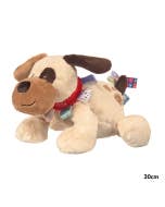Mary Meyer Taggies Buddy Dog Soft Toy 30cm
