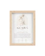 Mystique Framed Print Aquarius